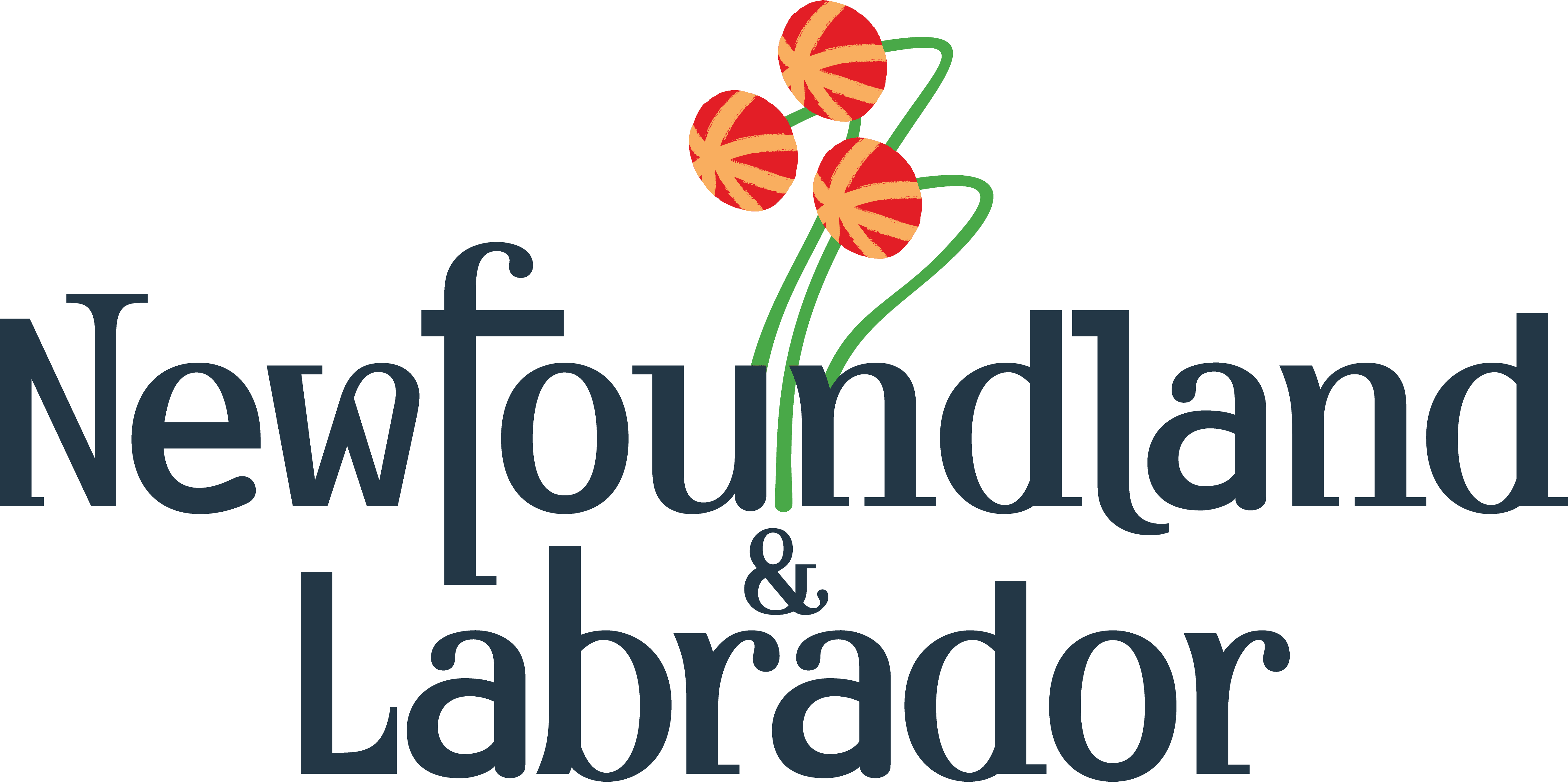 NFLD logo